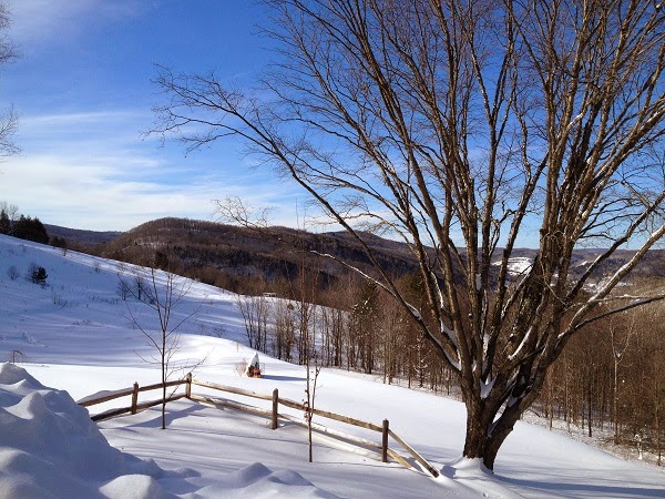 Vermont Snowy Mountain View