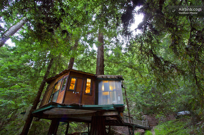 AirBnB: California Redwoods Treehouse