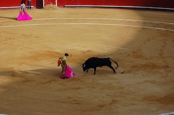 Chuck and Lori's Travel Blog - Bullfight, Valencia
