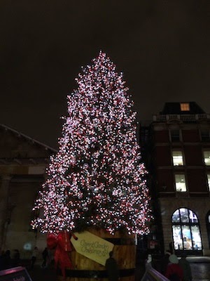 Chuck and Lori's Travel Blog - Christmas Tree in Covent Garden, London