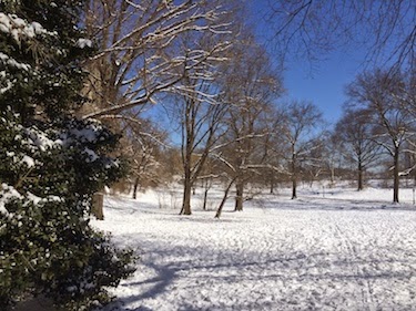 Chuck and Lori's Travel Blog - Central Park, New York, with Snow