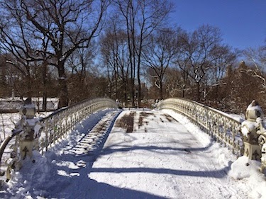 Chuck and Lori's Travel Blog - Bridge in New York's Central Park