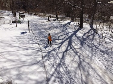 Chuck and Lori's Travel Blog - Skier in New York's Central Park