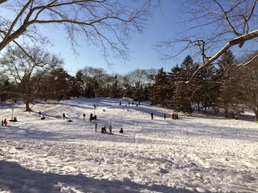 Chuck and Lori's Travel Blog - Sledders in New York's Central Park