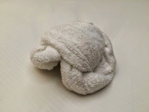 Chuck and Lori's Travel Blog - Towel Turtle, Norwegian Epic