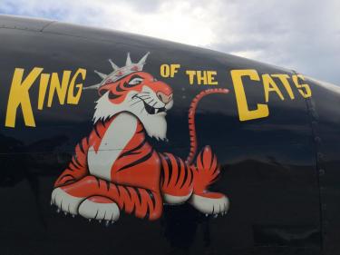 F7F-3 King of the Cats