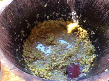 Willamette Valley Vineyards Grape Stomping Contest