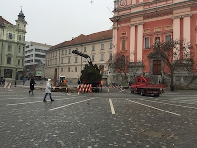 Ljubljana Christmas Tree